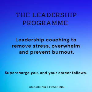 The Leadership Programme