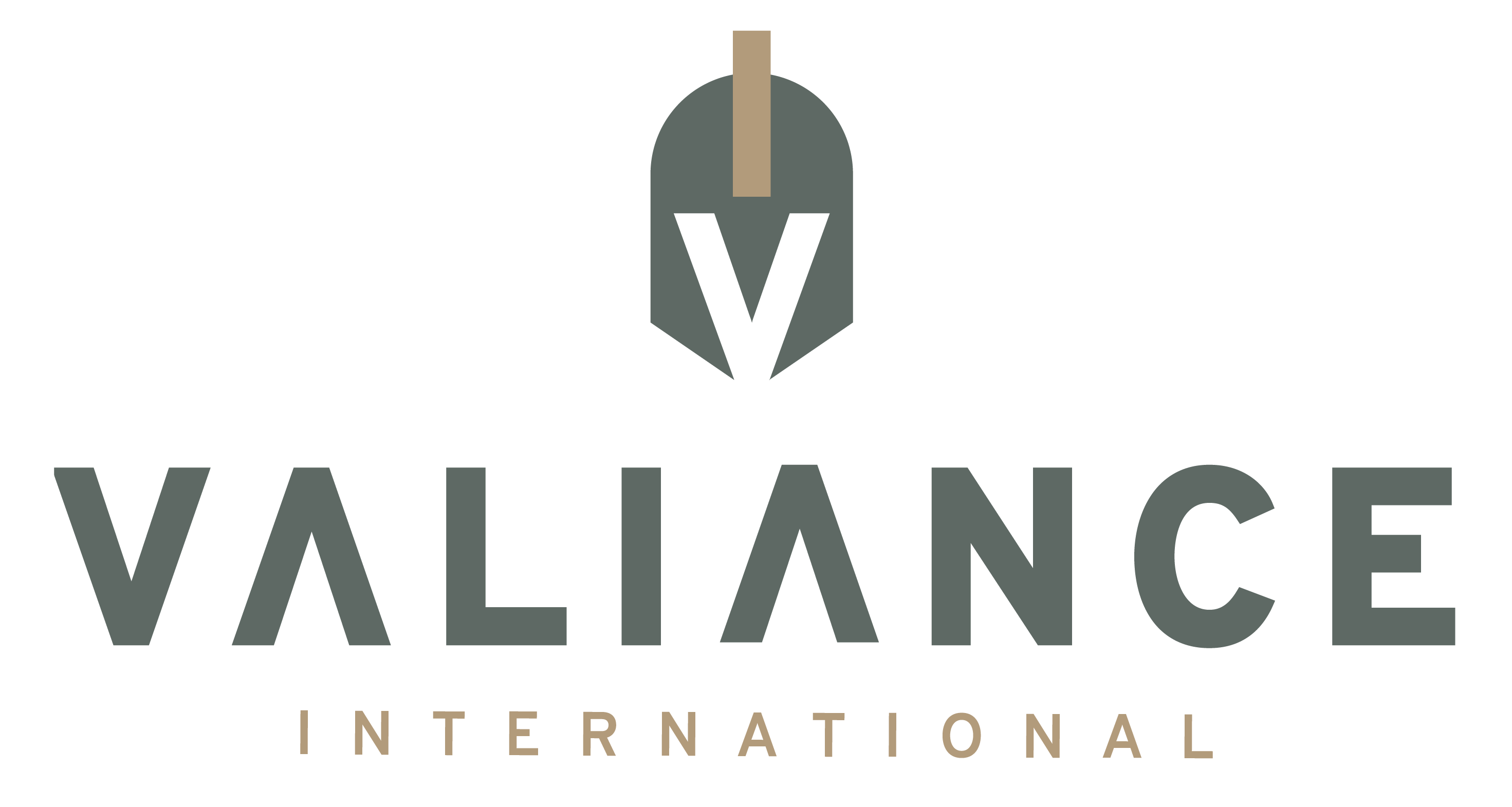 Valiance International