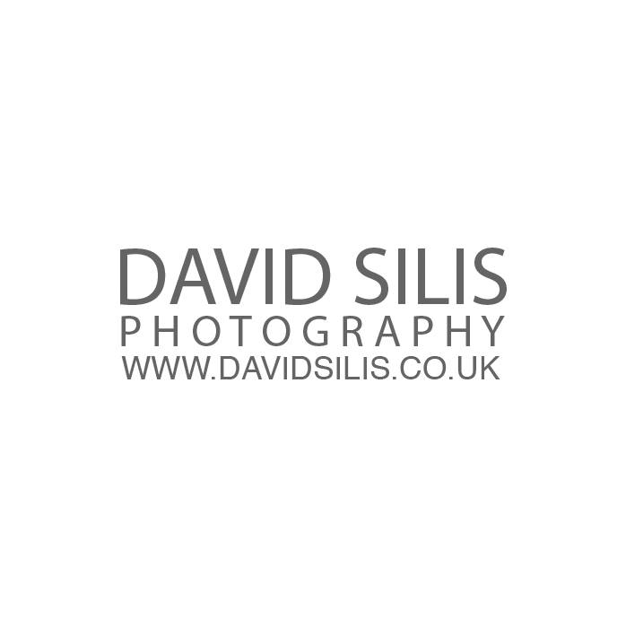 David Silis Photography & Design