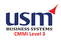 USM Business Systems