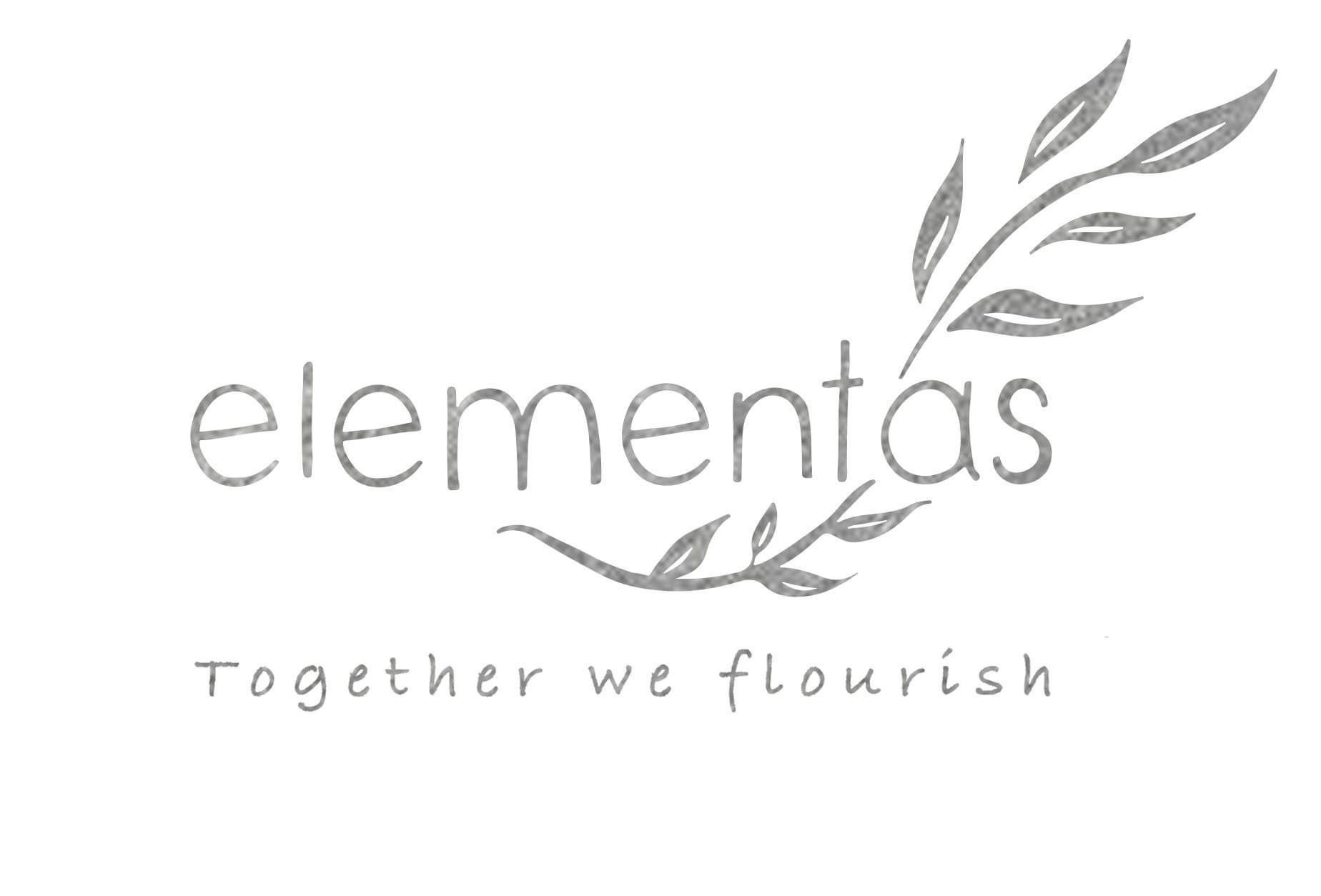 elementas wellness coach, business mentor