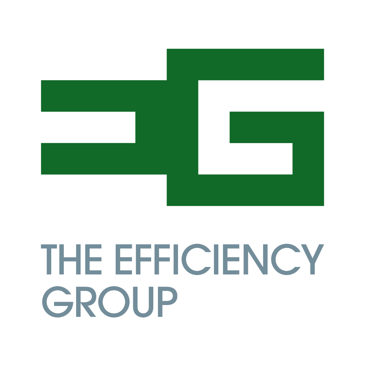 The Efficiency Group