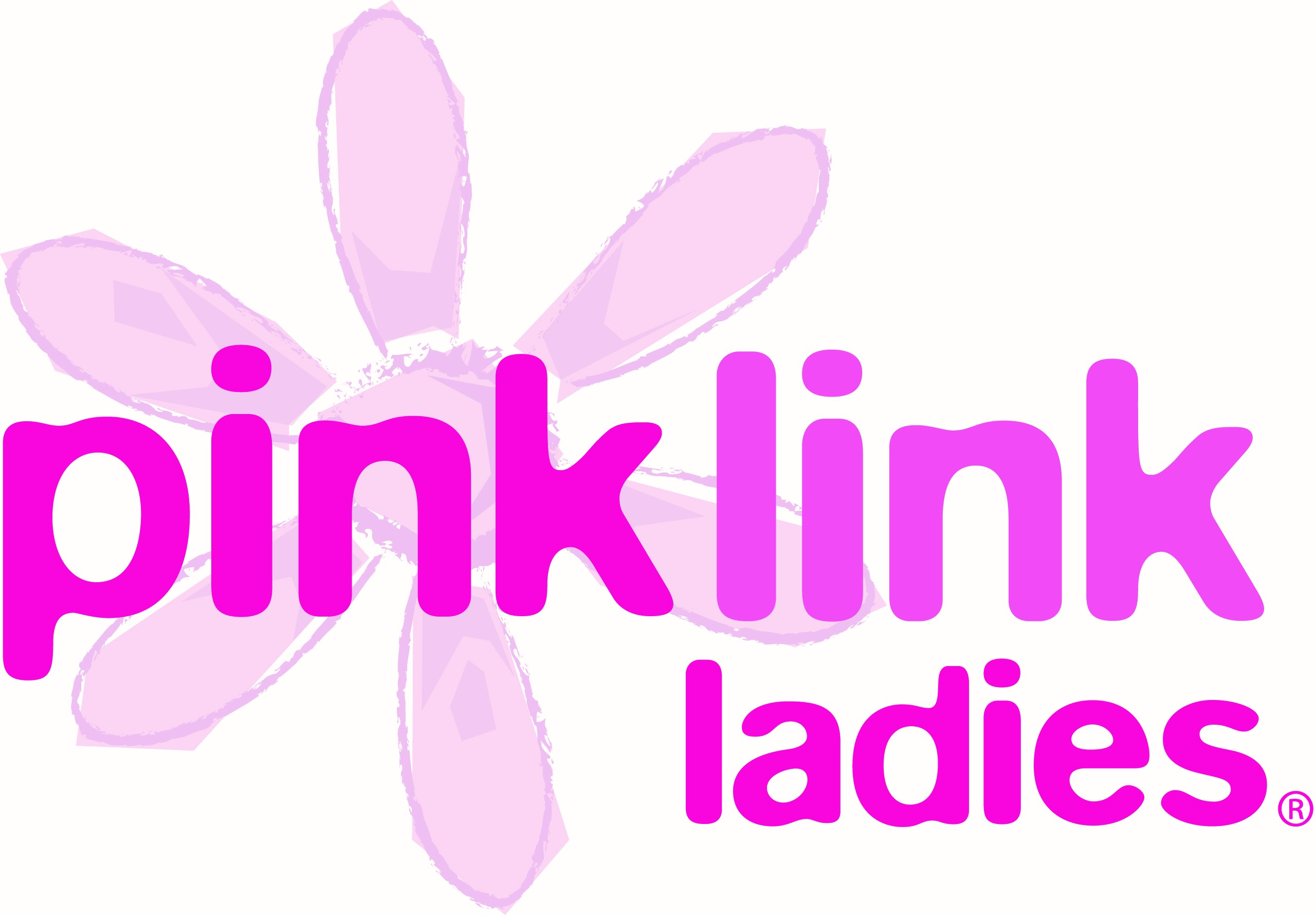 Pink Link Ladies Ltd